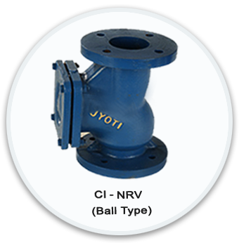 NRV Flange Type Valve